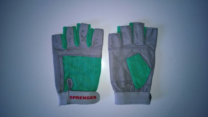 SPRENGER HANSKE U. FINGER